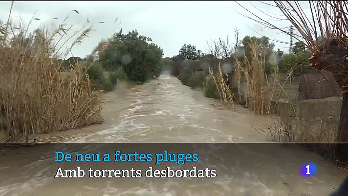 Informatiu Balear - Informatiu Balear 1 - 28/02/23