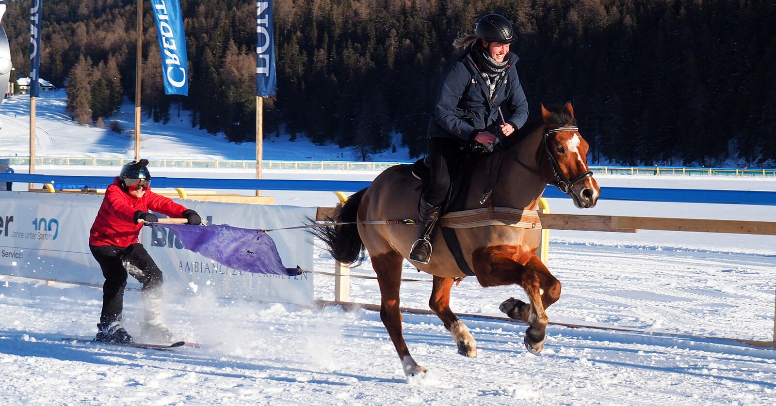 Así es el 'Skijor' el nuevo deporte que practican en Canadá - ver ahora