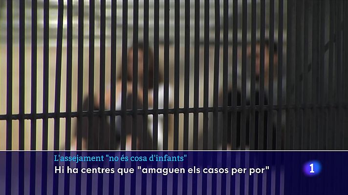 L'Informatiu - L'assetjament escolar: un tema tabú als centres educatius