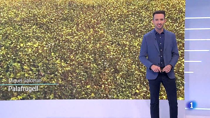 El temps - Comença el març i la primavera meteorològica... Com serà?