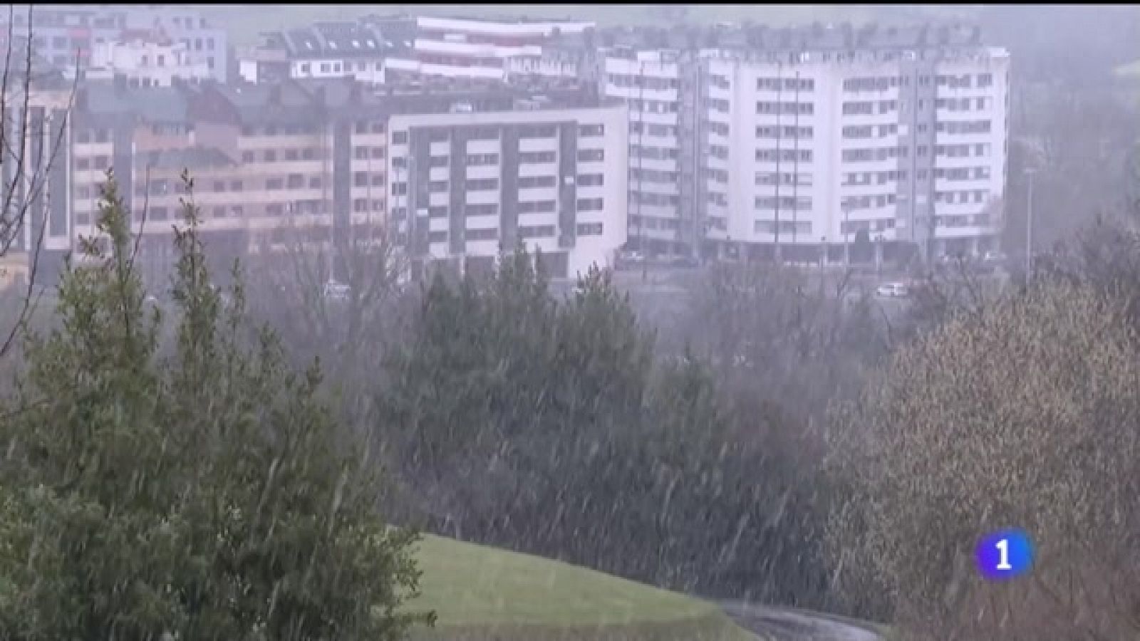 Panorama Regional - 01/03/2023 - Ver ahora