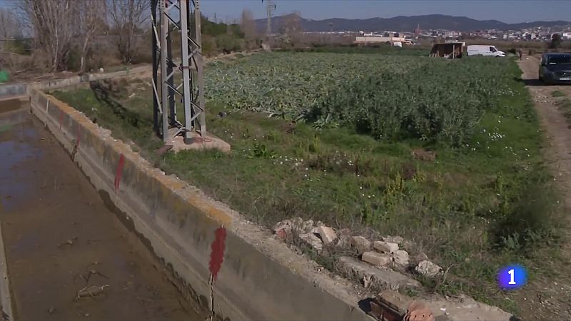 El sector agrari veu amb preocupació la situació de sequera