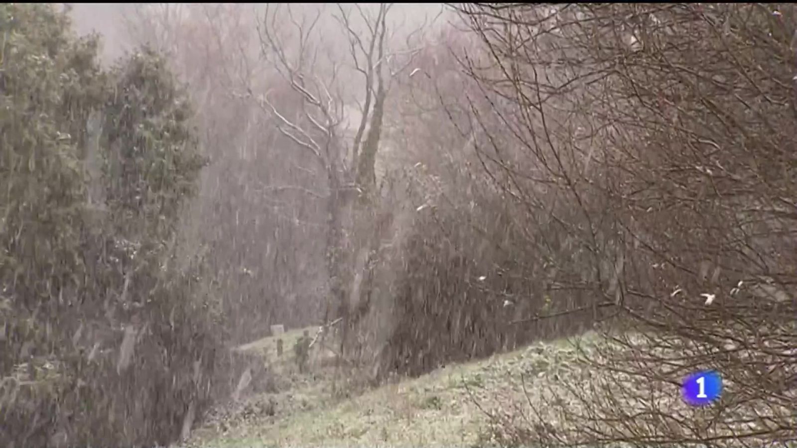 Asturias en 2' - 01/03/2023 - Ver ahora