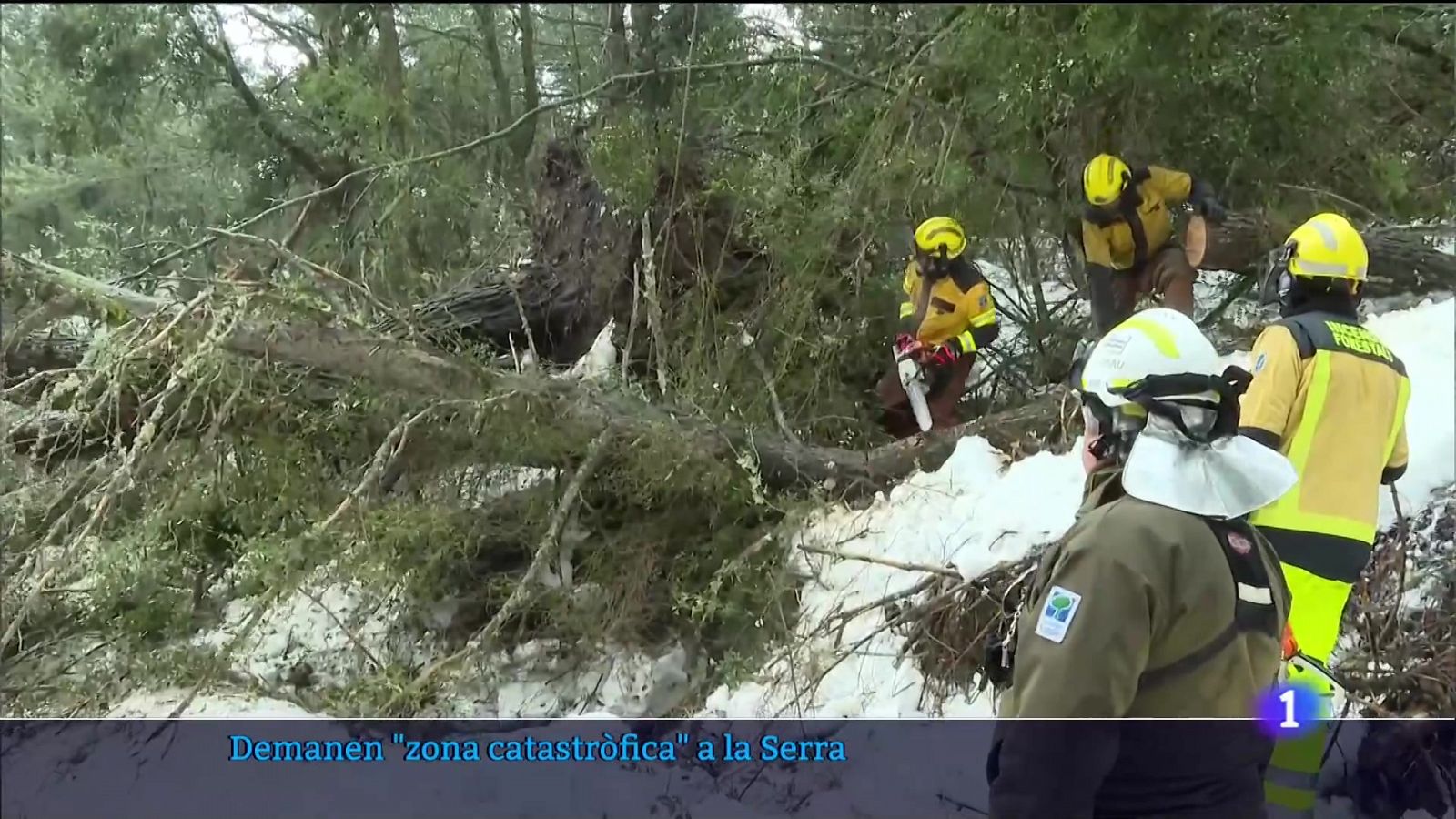 Demanen declaració de zona catastròfica - 02/03/2023 - RTVE.es