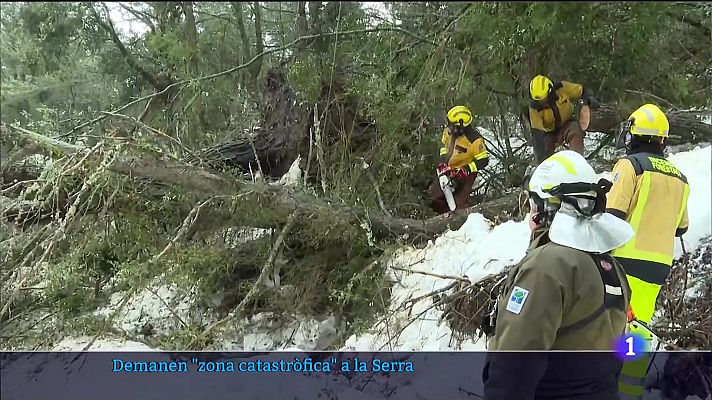 Demanen declaració de zona catastròfica - 02/03/23