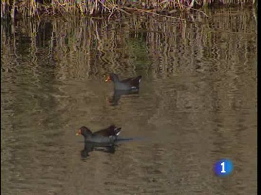 Ciencia y tecnología en Rtve.es - Centro Español de Humedales