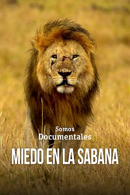 Somos Documentales - Miedo en la sabana