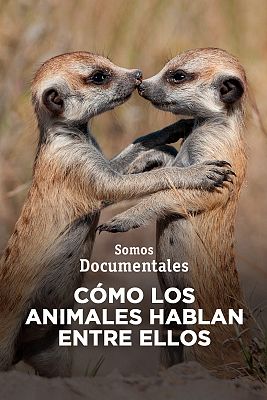 Cómo los animales hablan entre ellos