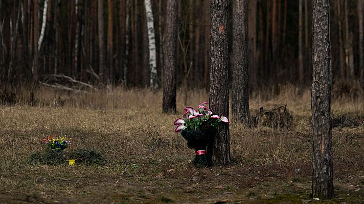 Minas, una peligrosa arma presente en más de dos tercios del territorio ucraniano