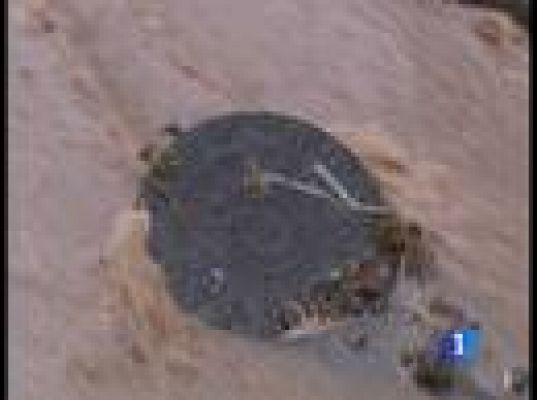 El tiempo - El Tiempo - 01/02/10