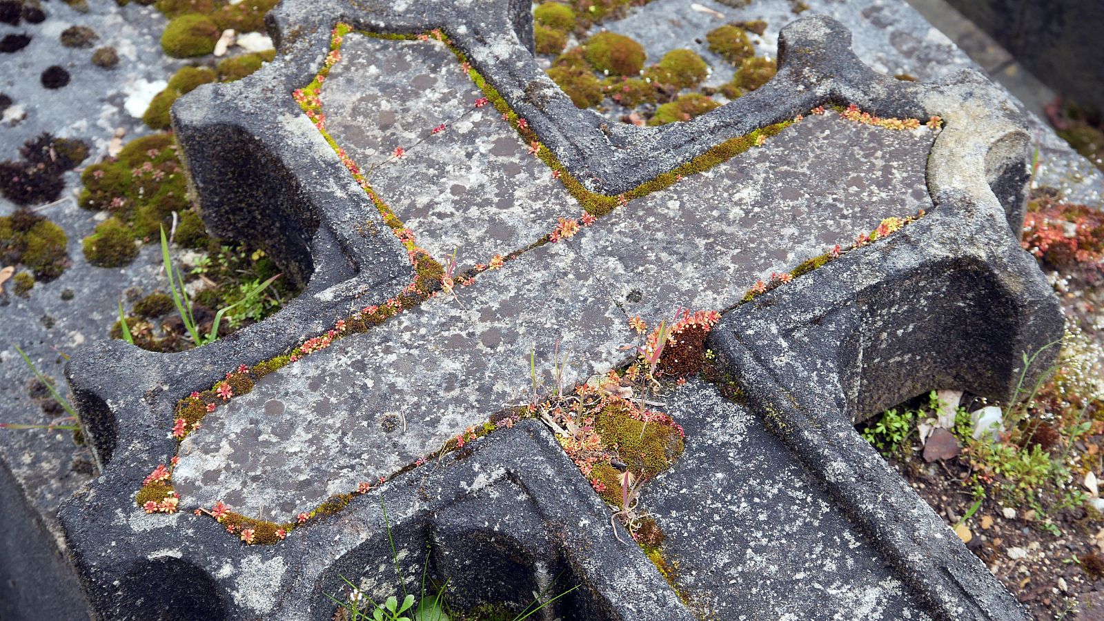 ¿Quién está en la tumba de Gaztambide?