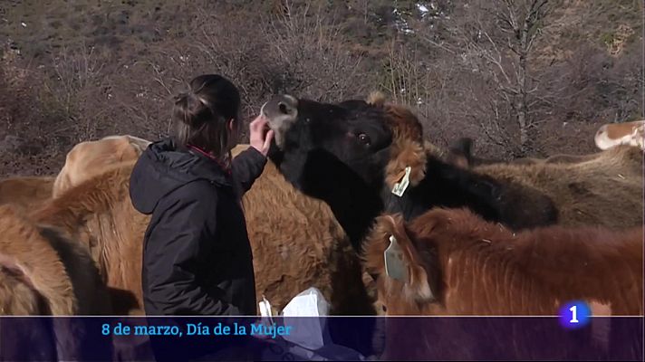 Informativo Telerioja 8-03-2023