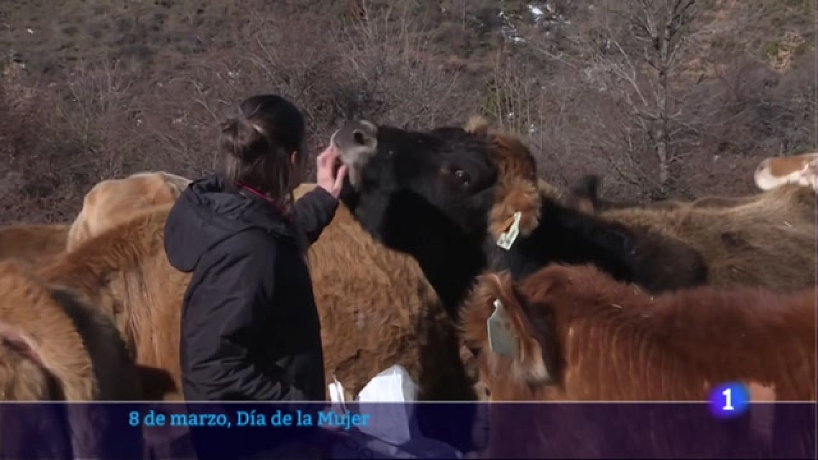 Informativo Telerioja 8-03-2023 - ver ahora