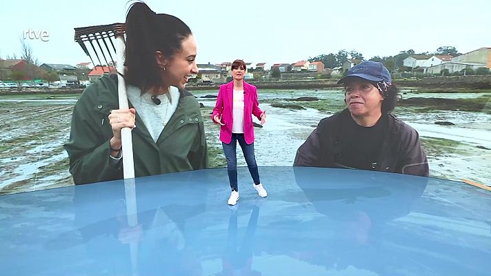 Ahora o nunca - Programa 33