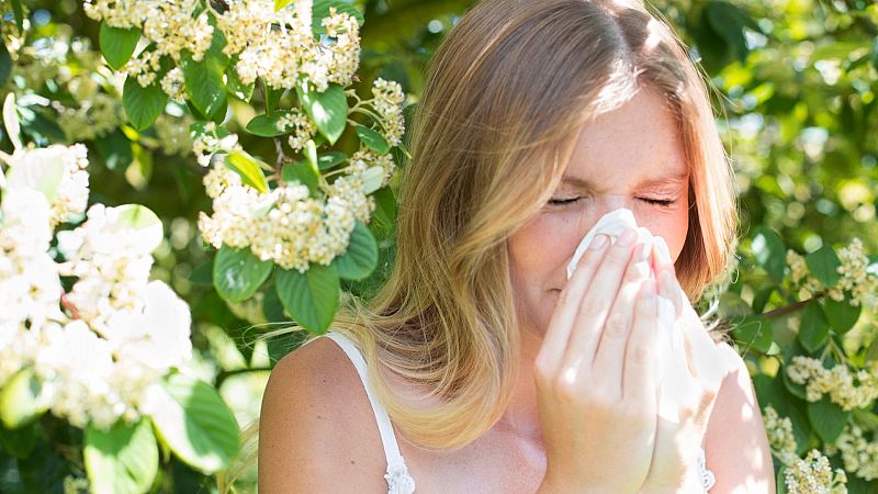 Alergólogo: "La OMS dice que el tema de las enfermedades alérgicas son una epidemia no infecciosa" - Ver ahora