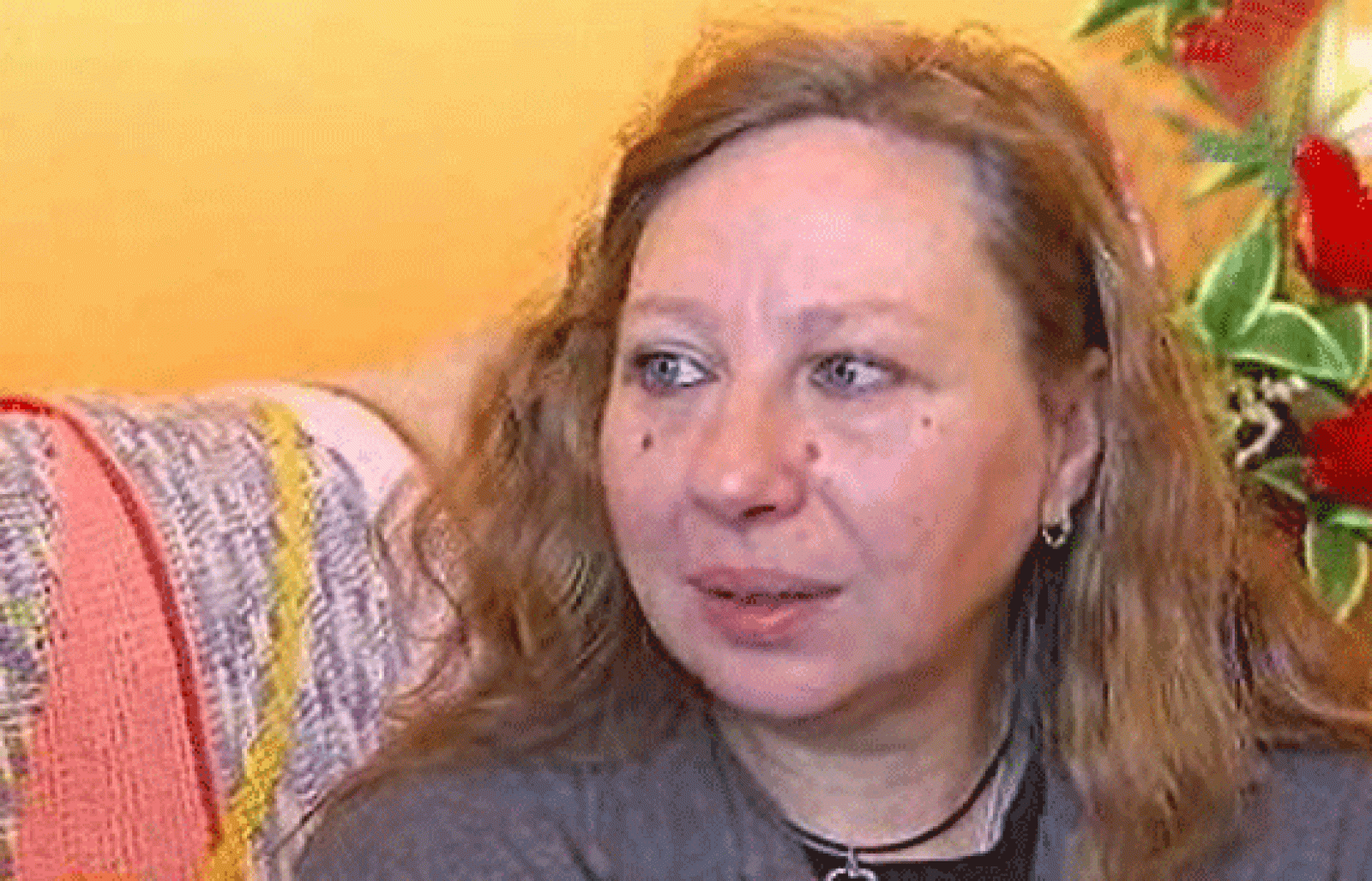 España Directo - Cuatro en 14 metros | Ver