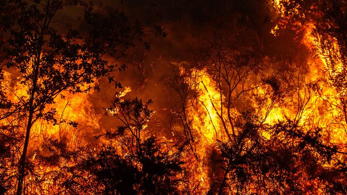 Telediario 1 - Los grandes incendios forestales vuelven a poner en peligro a la capa de ozono