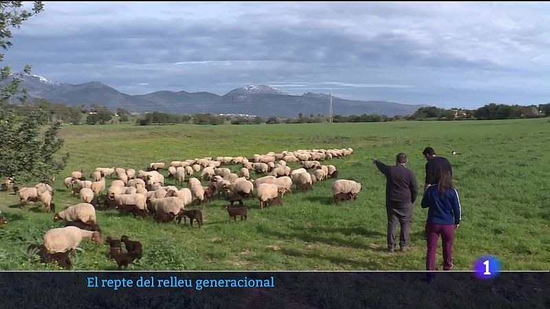 El repte del relleu generacional - 09/03/23 - Veure ara