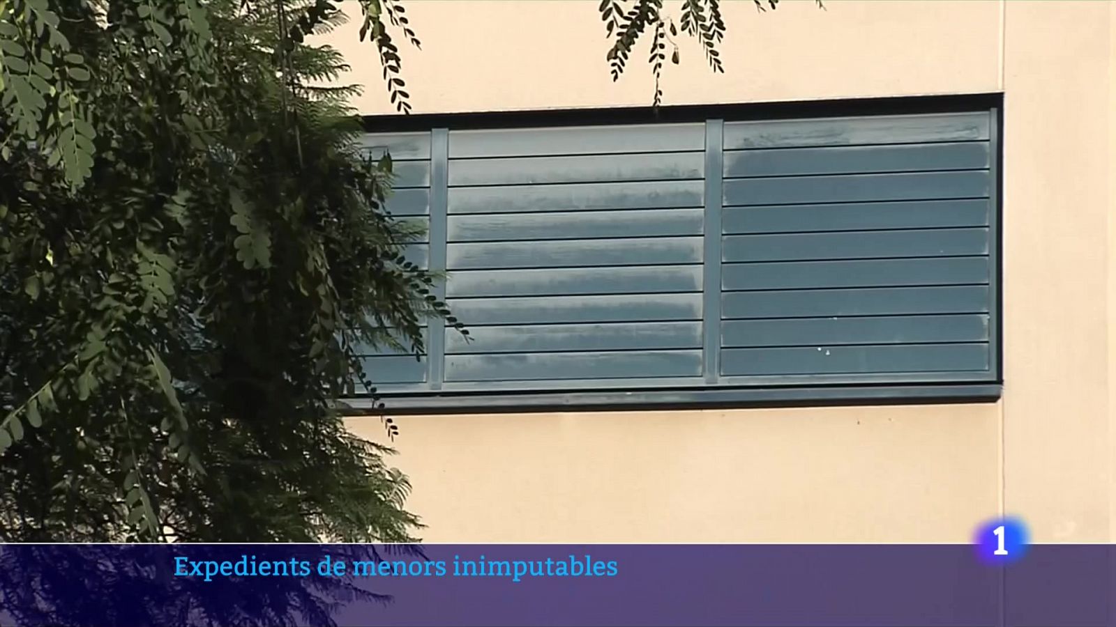 Com actua la DGAIA davant els menors inimputables? - L'Informatiu | Veure