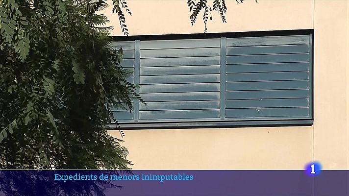 L'Informatiu - Com actua la DGAIA davant els menors inimputables?