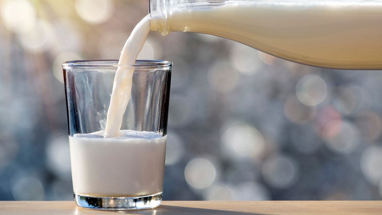 La diferencia entre intolerancia a la lactosa y alergia a la proteína de la leche