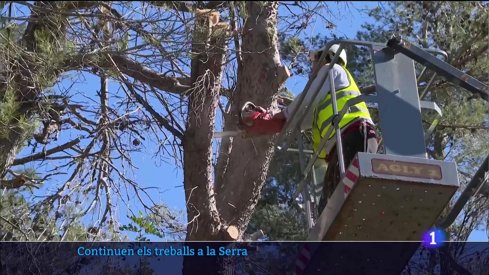 La ressaca de Juliette - 10/03/23 - Veure ara