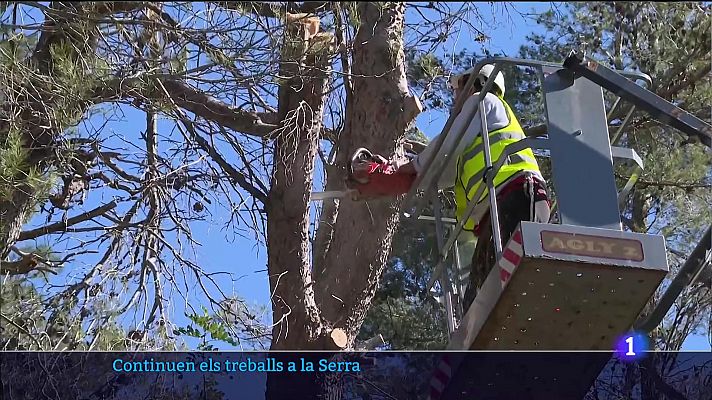 Informatiu Balear - La ressaca de Juliette - 10/03/23