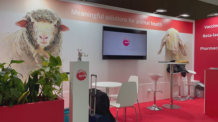 Noticias Andalucía - 10º Congreso Internacional de Ovejas