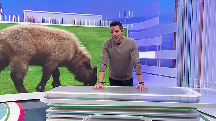 Aquí la Tierra - Aquí la Tierra - 10/03/23