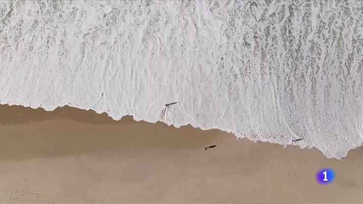 Telediario 1 - Sara Jaramillo presenta su nueva novela, 'Escrito en la piel del jaguar'