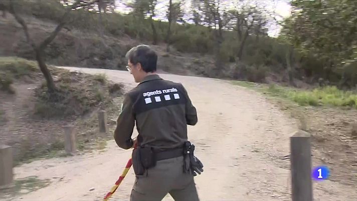 L'Informatiu - Una vintena de comarques amb alt risc d'incendi