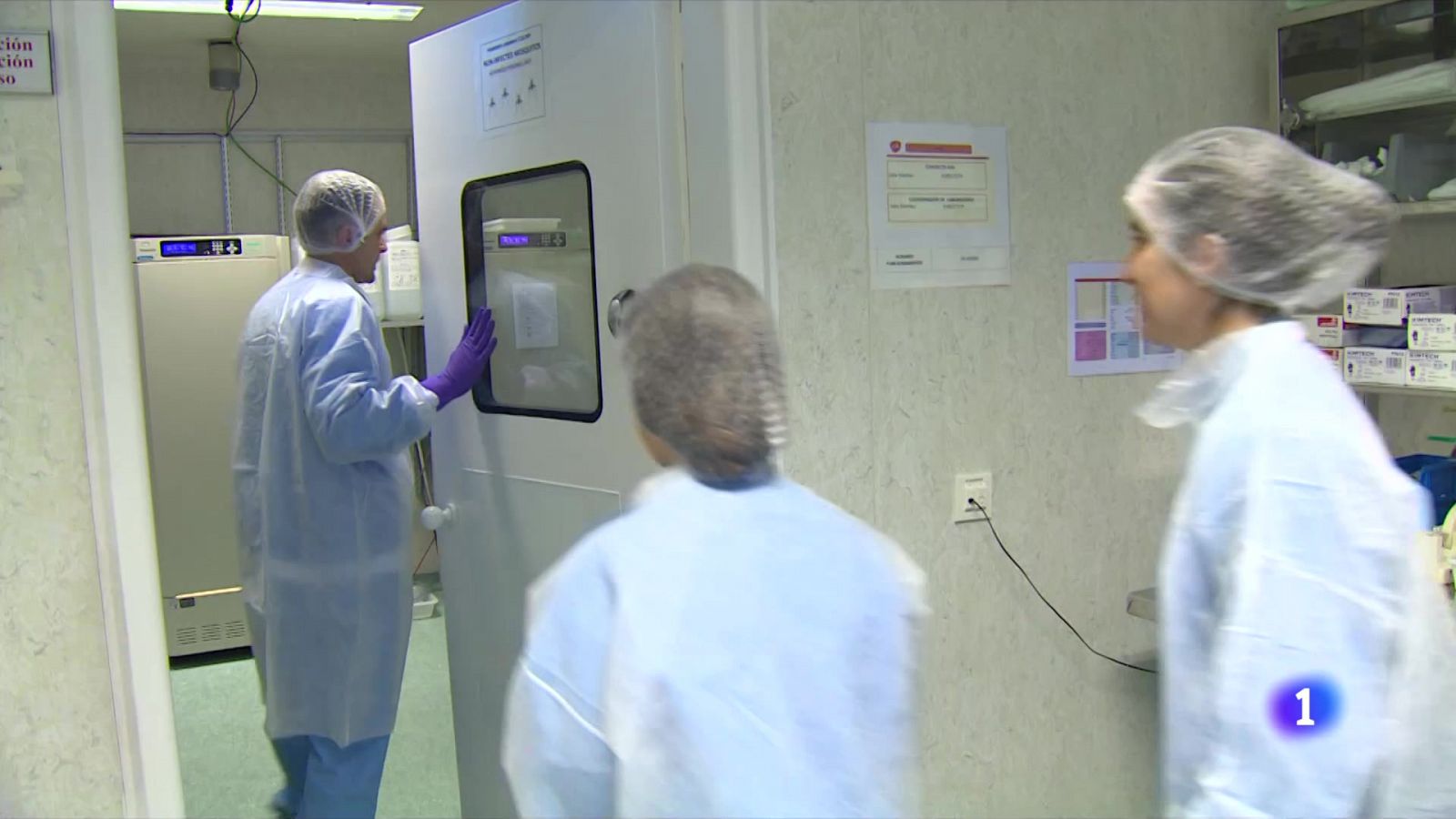 Insectarios para investigar soluciones al contagio a través insectos  -Ver ahora