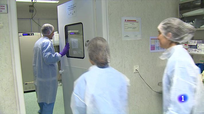 Telediario Fin de Semana - Insectarios para investigar soluciones al contagio a través insectos