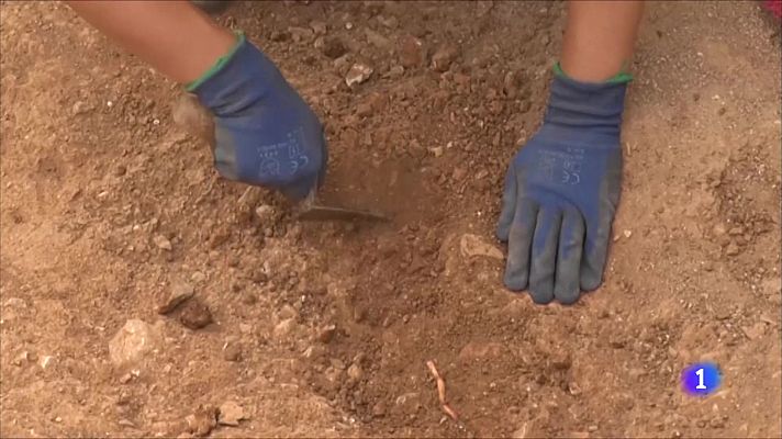 Telediario Fin de Semana - Restos de la Guerra Civil en Baleares: en ocho años han abierto una veintena de fosas