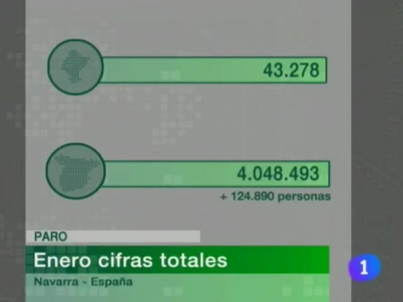  Telenavarra.Informativo Territorial de Navarra (02/02/10)