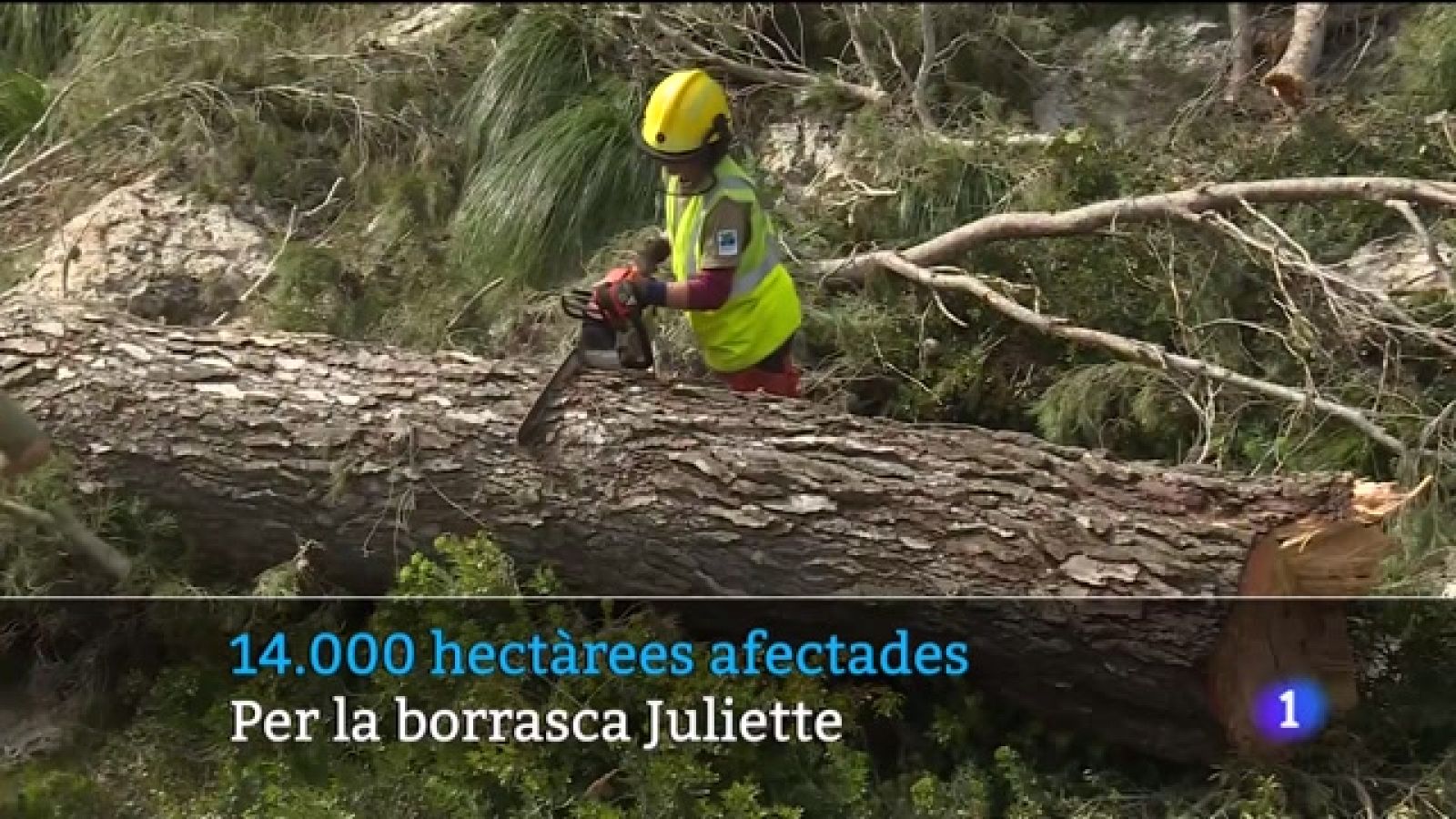 Informatiu Balear 2 - 13/03/2023 - RTVE.es