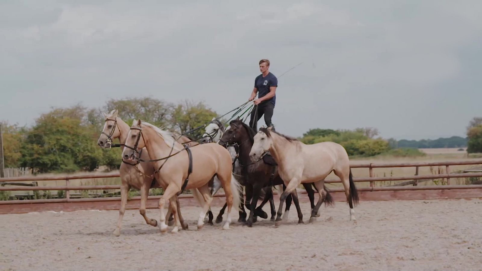 Hípica - Programa FEI Ride - Episodio 5 - RTVE Play