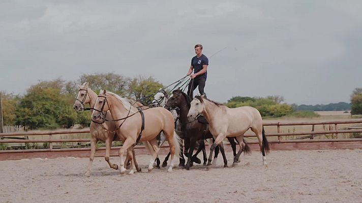 Programa FEI Ride - Episodio 5