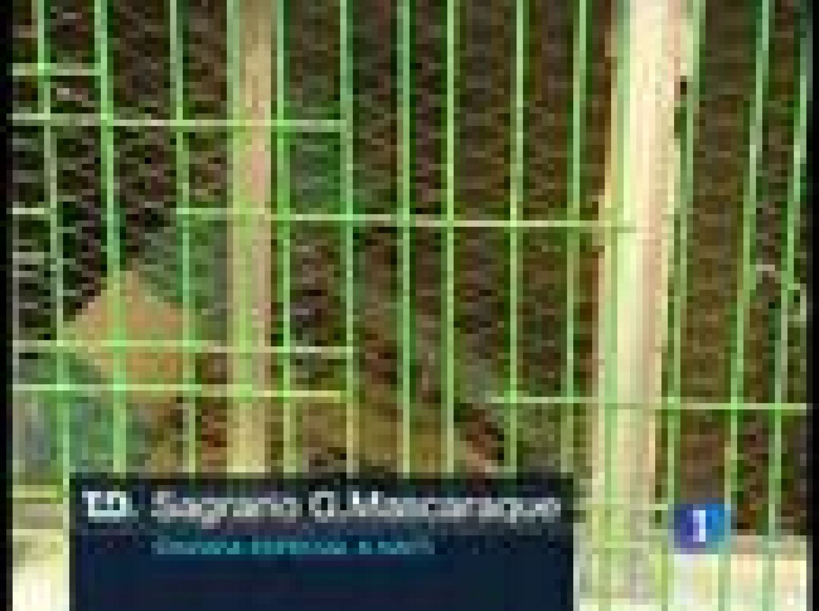 Imágenes del principal hospital psiquiátrico de Puerto Príncipe | Ver