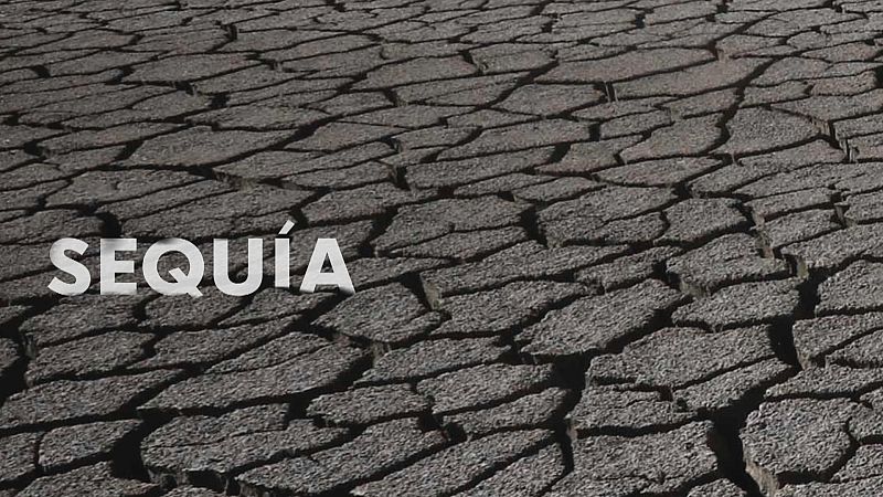 Infraestructuras contra la sequía - Ver ahora