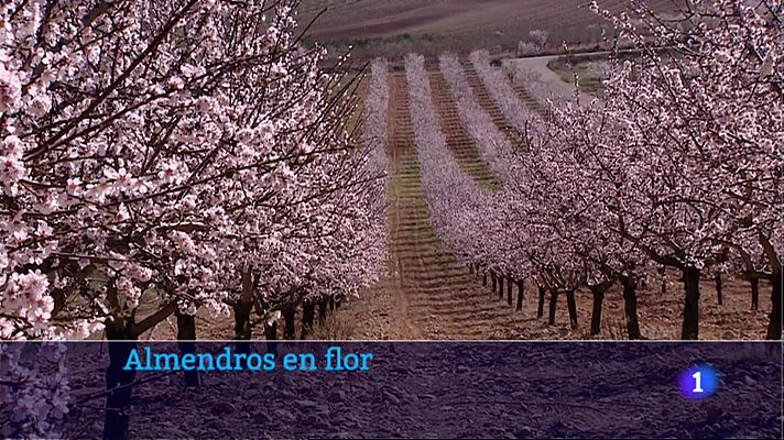 Informativo Telerioja - Informativo Telerioja 2  - 13/03/23