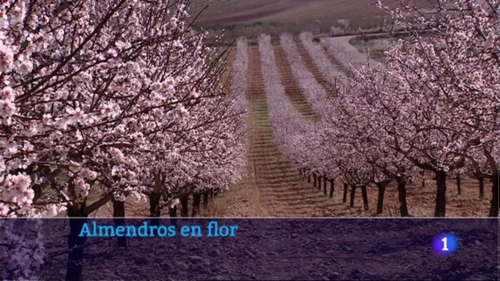 Telerioja en 2' - 14/03/23 - Ver ahora