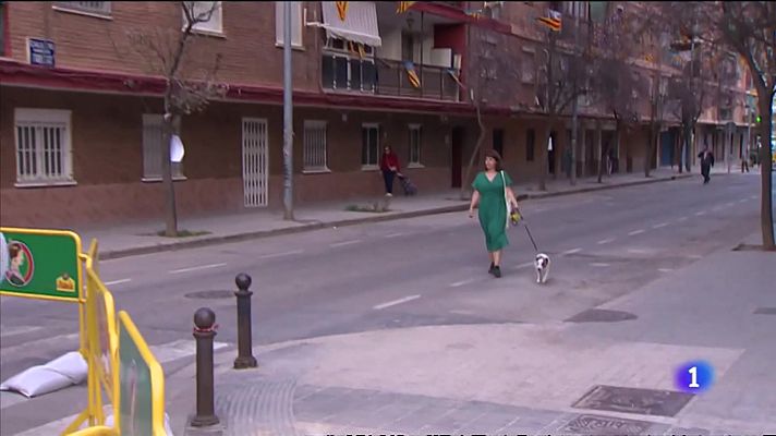 L'informatiu - Comunitat Valenciana - Los perros sufren con los petardos en las fiestas