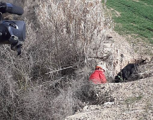 Para todos La 2 - Grupo canino de búsqueda y rescate