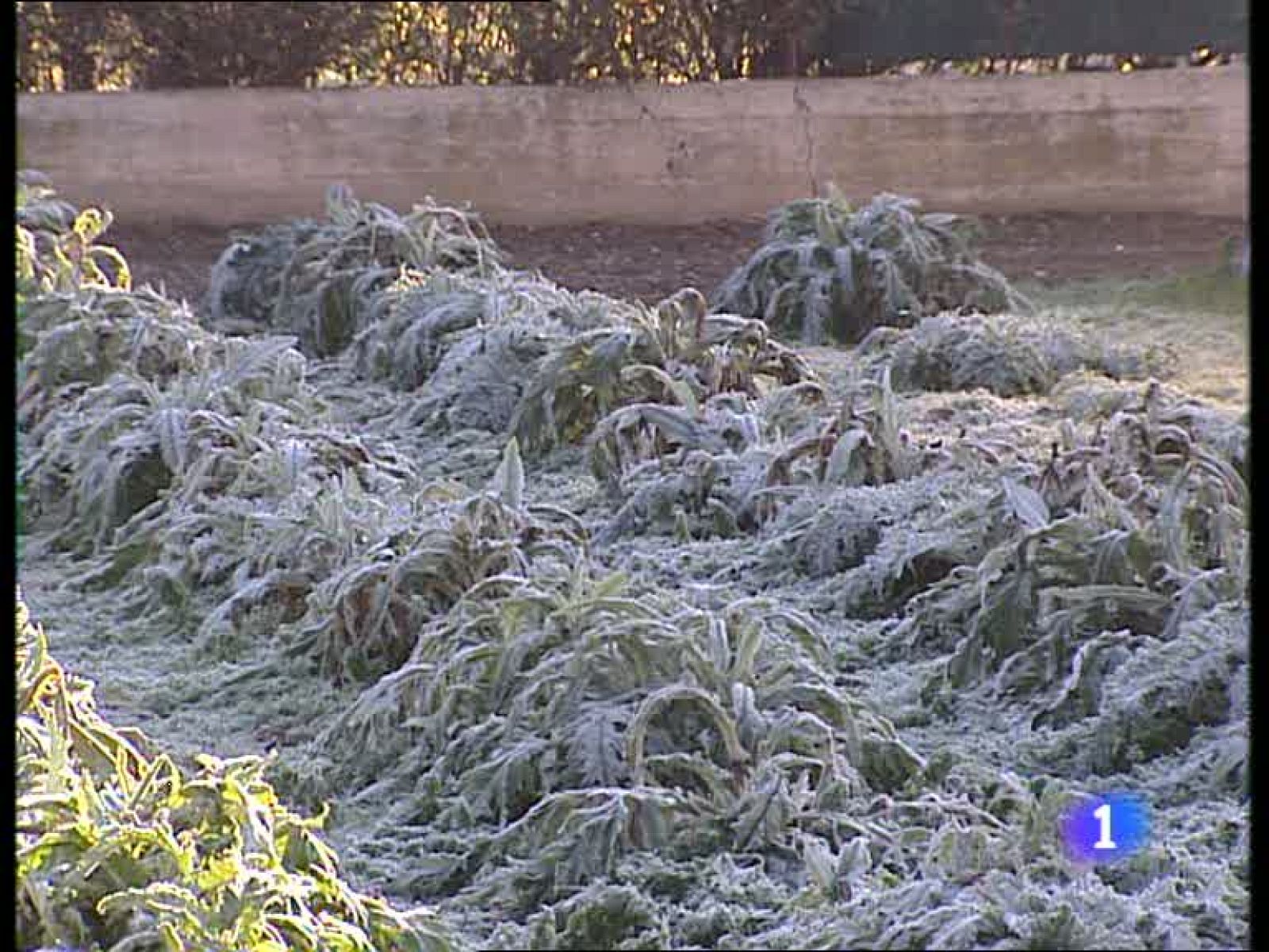 Informativo  Telerioja (02/02/10)