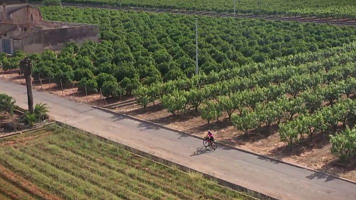 La defensa del sur: De Alboraya a Xátiva