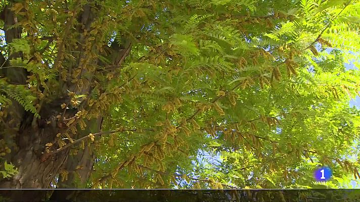 L'Informatiu - L'Informatiu 2 - 17/03/2023