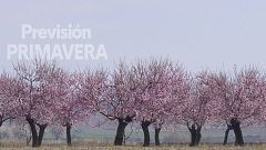 La primavera que viene