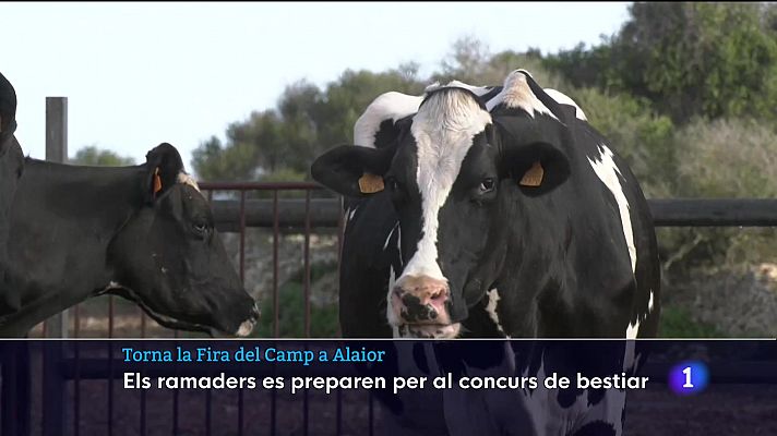 Informatiu Balear - Torna la Fira del Camp
