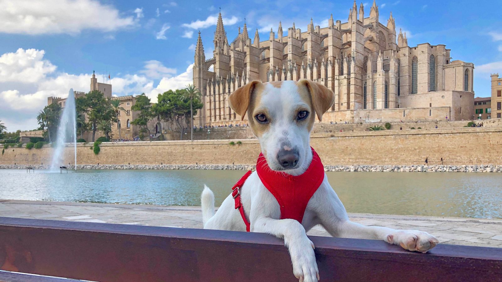 Pipper en ruta - Mallorca - ver ahora